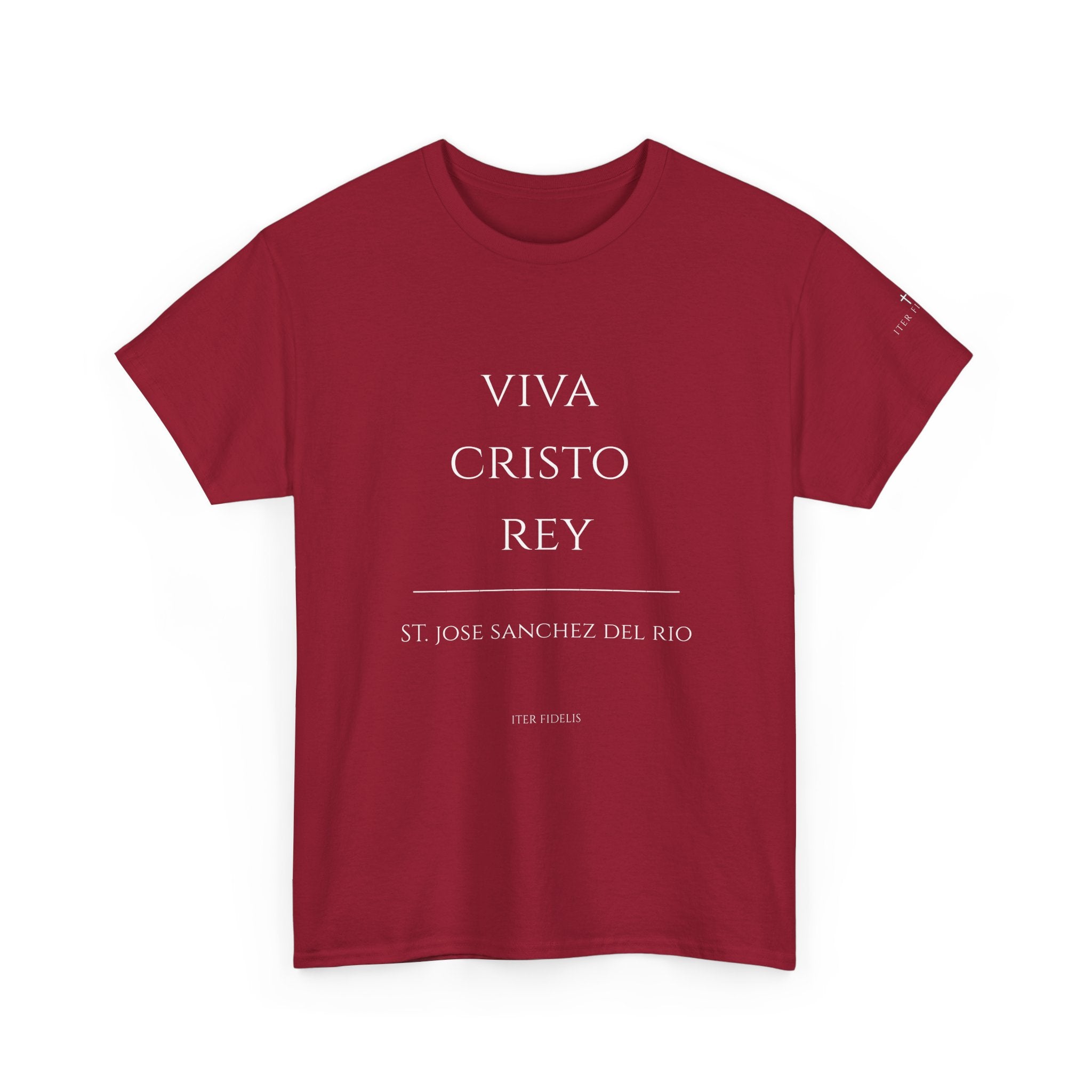 Viva Cristo Rey T-Shirt | Spanish Religious Phrase Tee