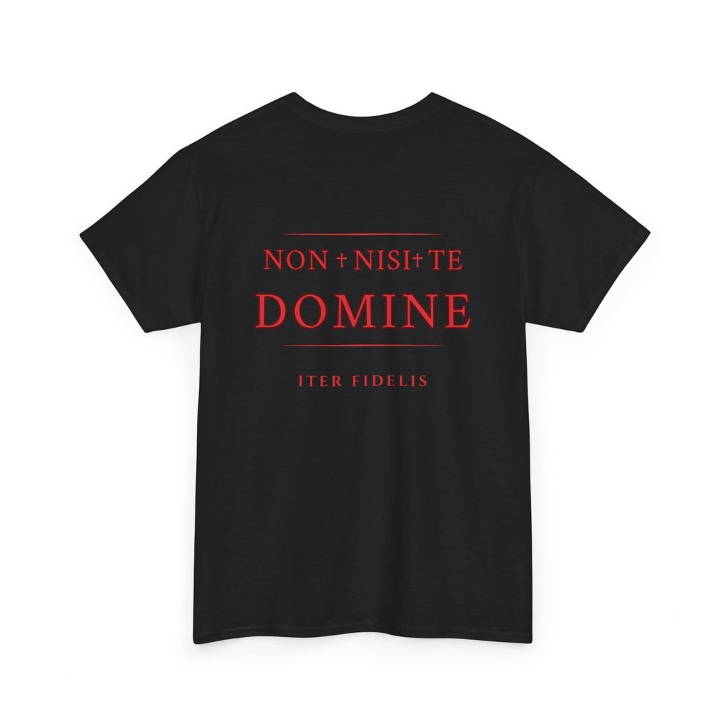 Non Nisi Te Domine