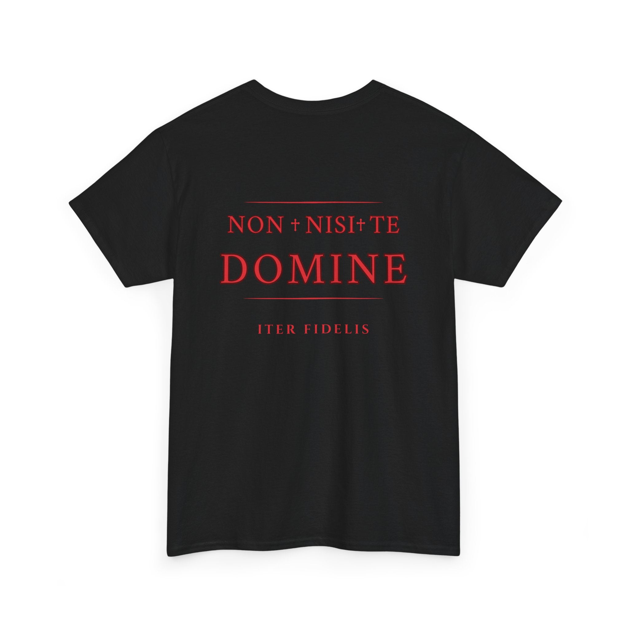 Non Nisi Te Domine