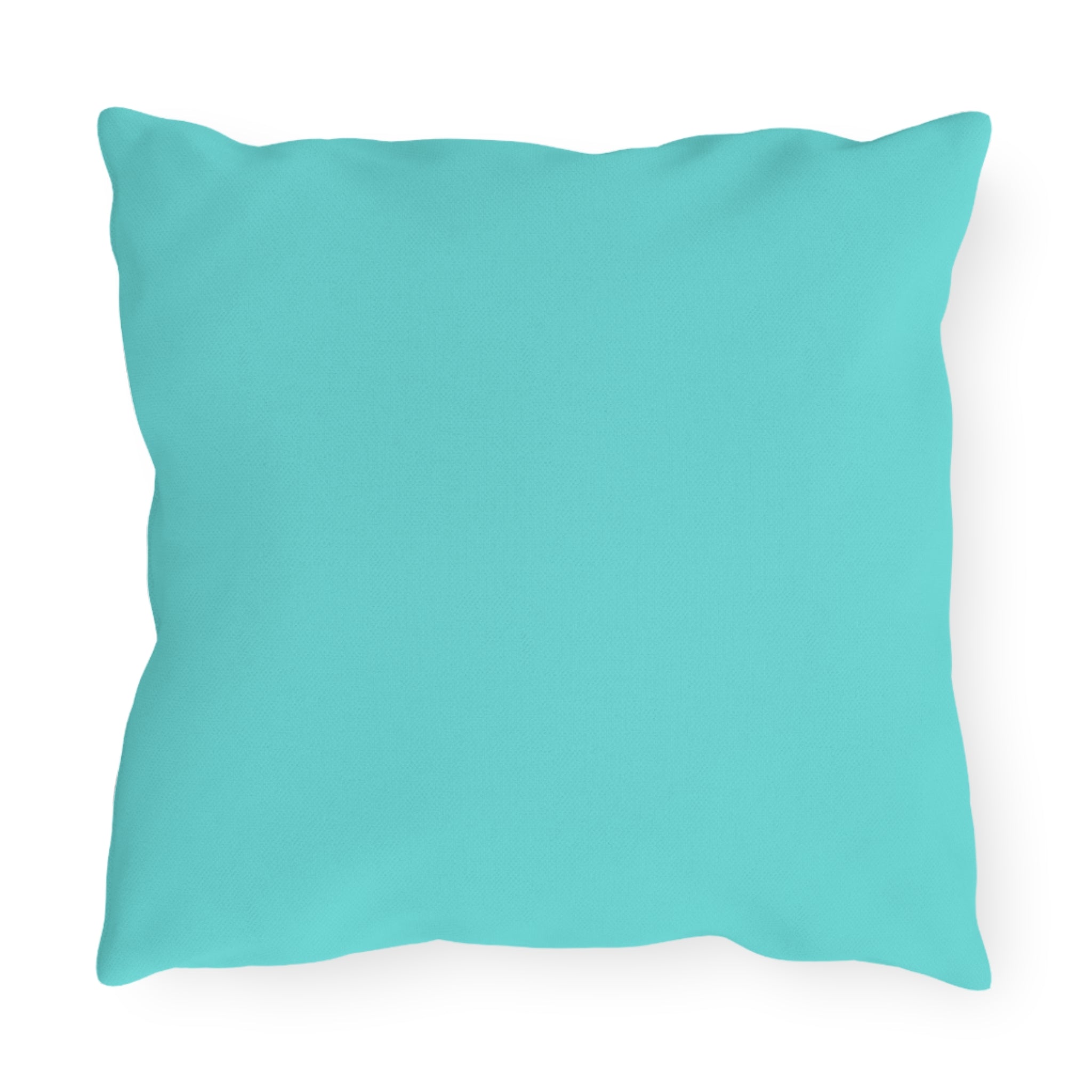 Flight of Grace Outdoor Pillow