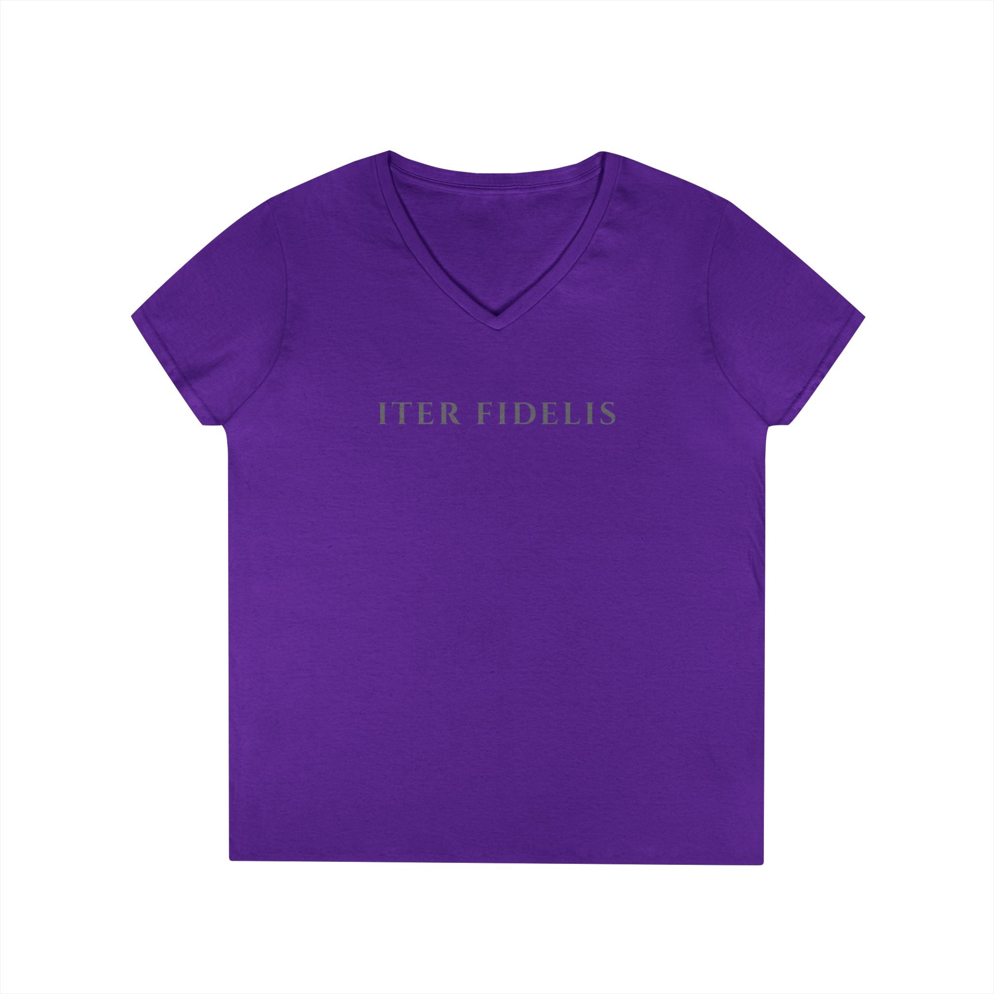 Sacred Heart Marian Graphic Ladies' Shirt —  Iter Fidelis V-Neck Tee