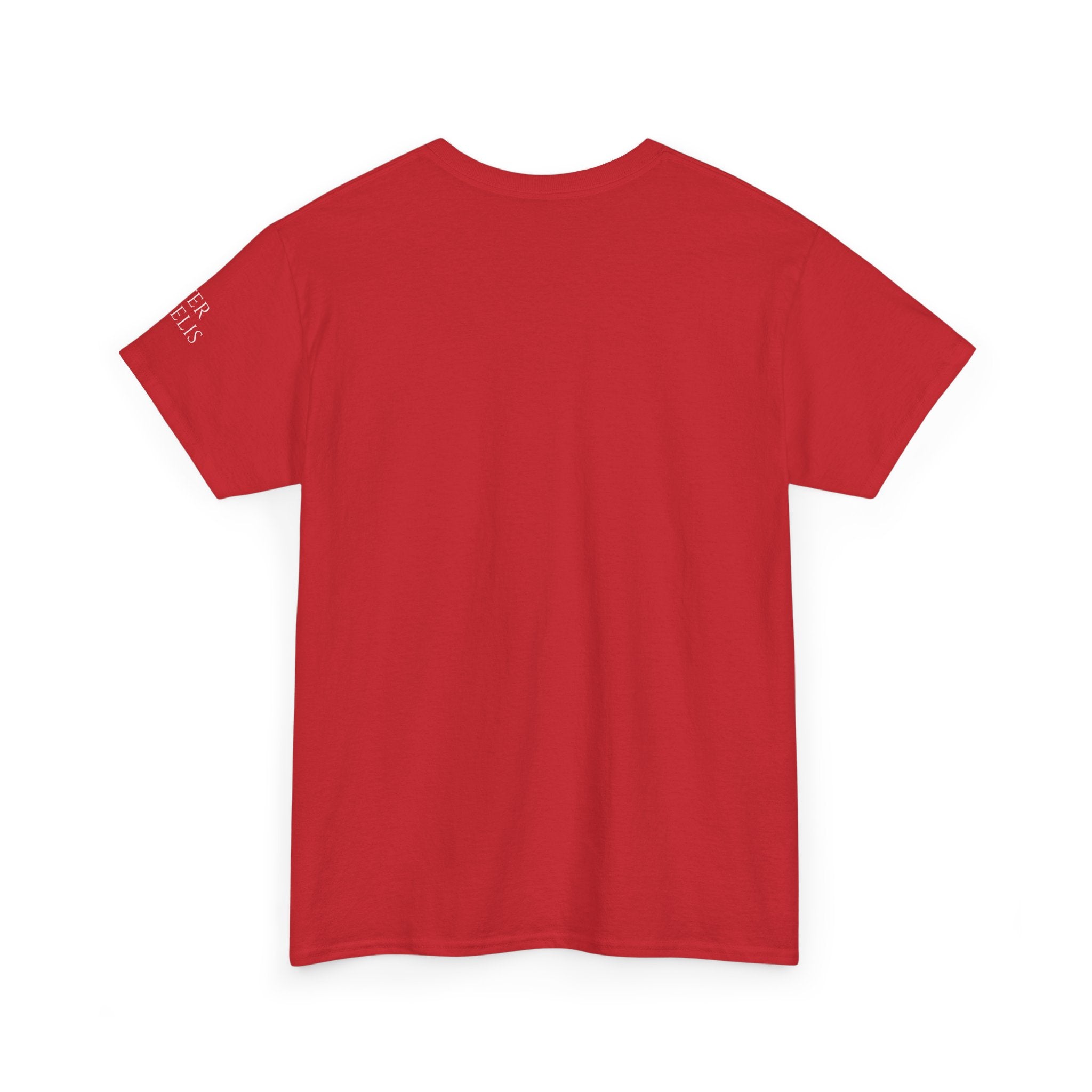 Viva Cristo Rey T-Shirt | Spanish Religious Phrase Tee